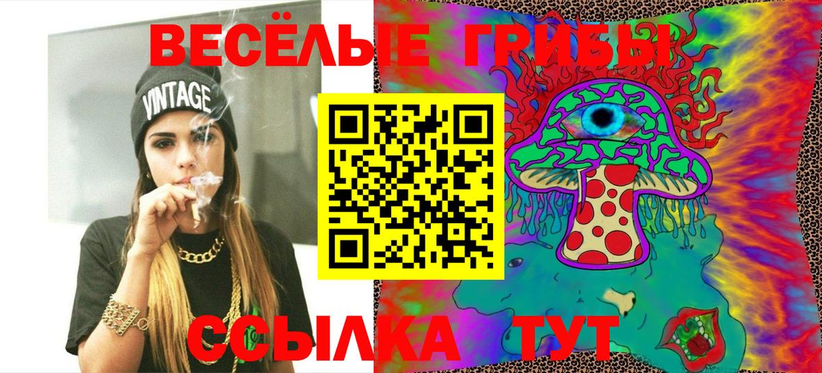 Псилоцибиновые грибы прущие грибы  Вход с VPN  Ступино 