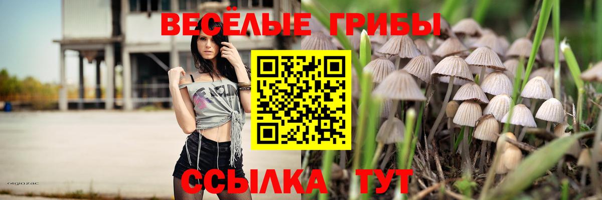Галлюциногенные грибы мухоморы Ступино